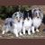 Crystal, Katie, and Robbie Pictured in 2008