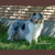Weathermans Ice Storm, Crystal, Pictured at 3 years