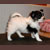 Autumn Music of The Night, Lyric, Pictured at 2 months